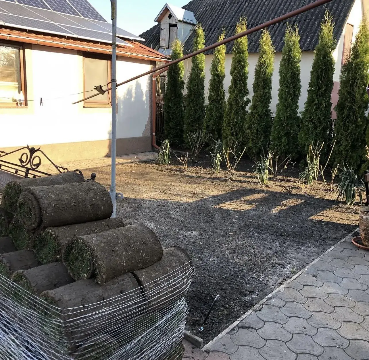 Rolki trawnika przygotowane do ułożenia na wyrównanej ziemi przy domu